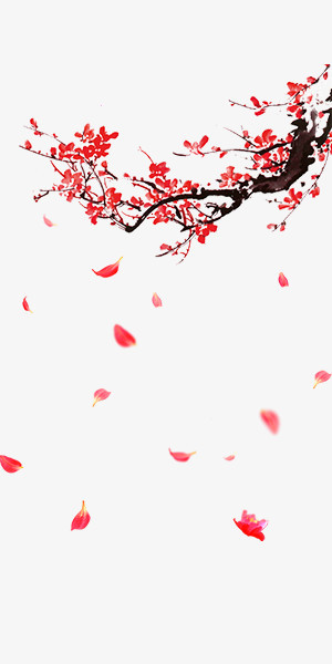 红色新年冬日寒梅落花