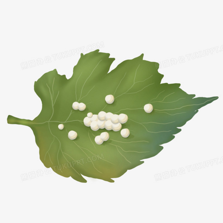 手绘卡通白色蚕卵元素