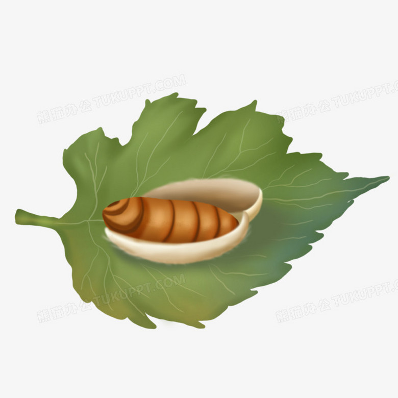 手绘卡通黄色蚕蛹元素