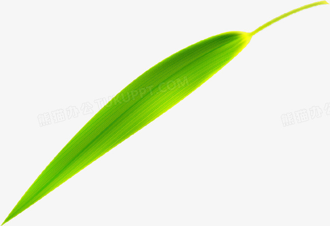 ϸҶ