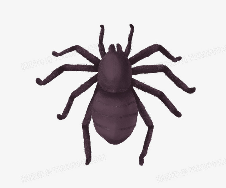 卡通手绘蜘蛛虫子昆虫元素png图片素材下载 卡通png 熊猫办公 卡通手绘蜘蛛虫子昆虫元素png图片素材下载 卡通png 熊猫办公