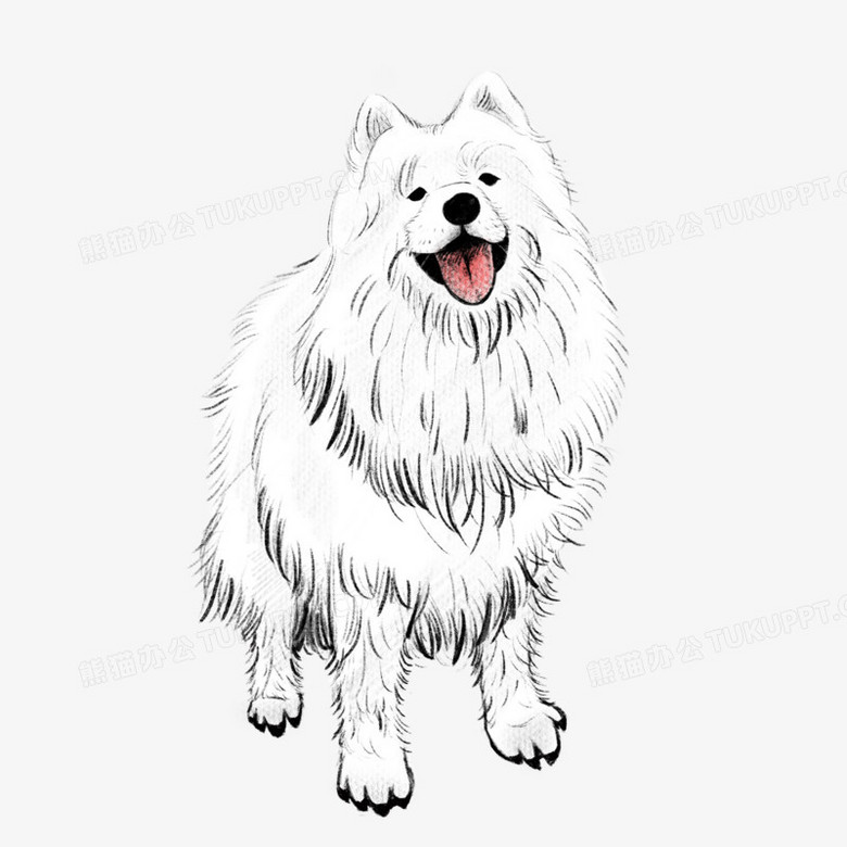 卡通手绘萨摩耶狗狗免抠元素png图片素材下载 手绘png 熊猫办公 卡通手绘萨摩耶狗狗免抠元素png图片素材下载 手绘png 熊猫办公