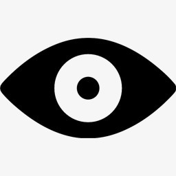 眼睛符号图标