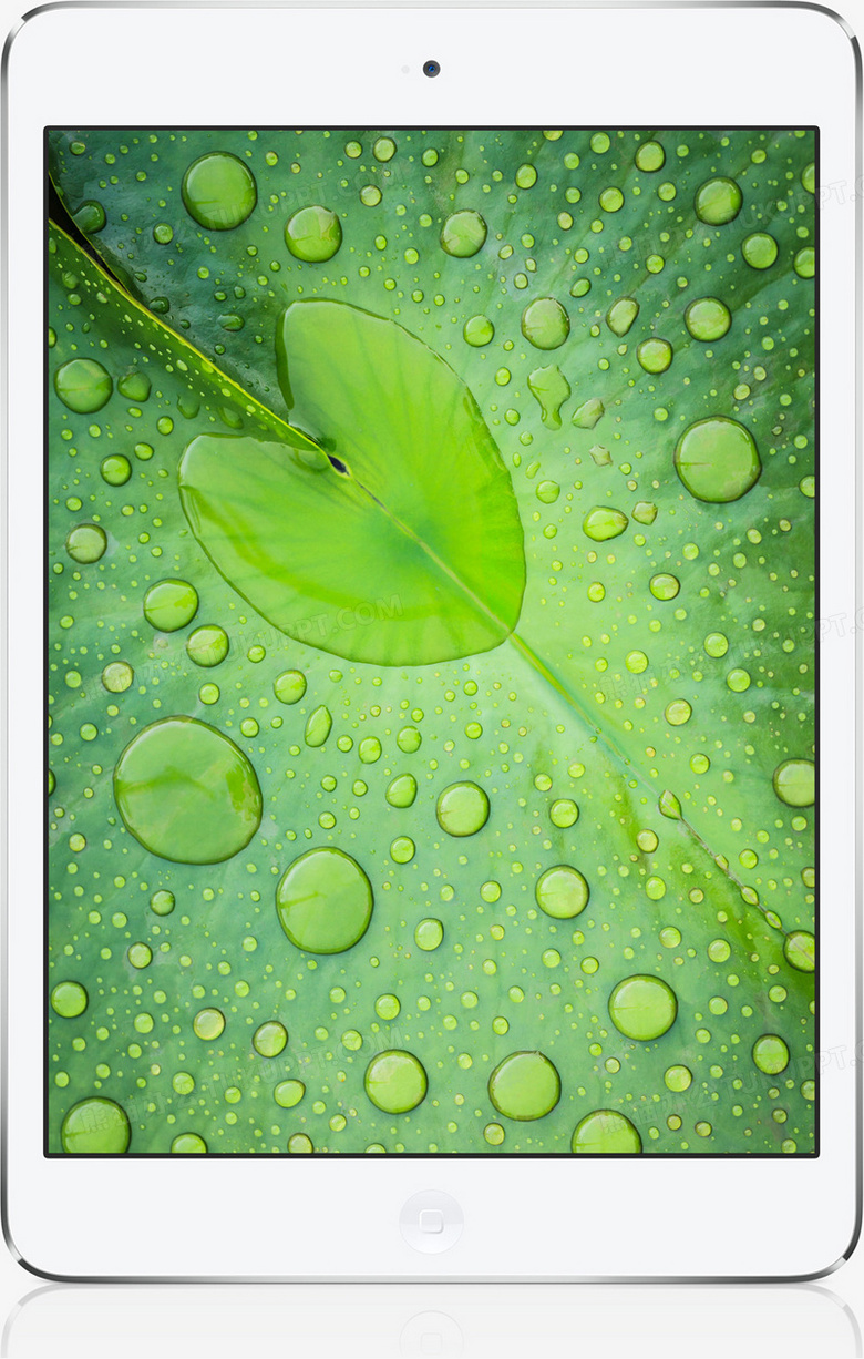 屏保手机绿色叶子