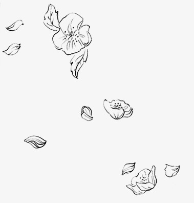 飘浮花瓣