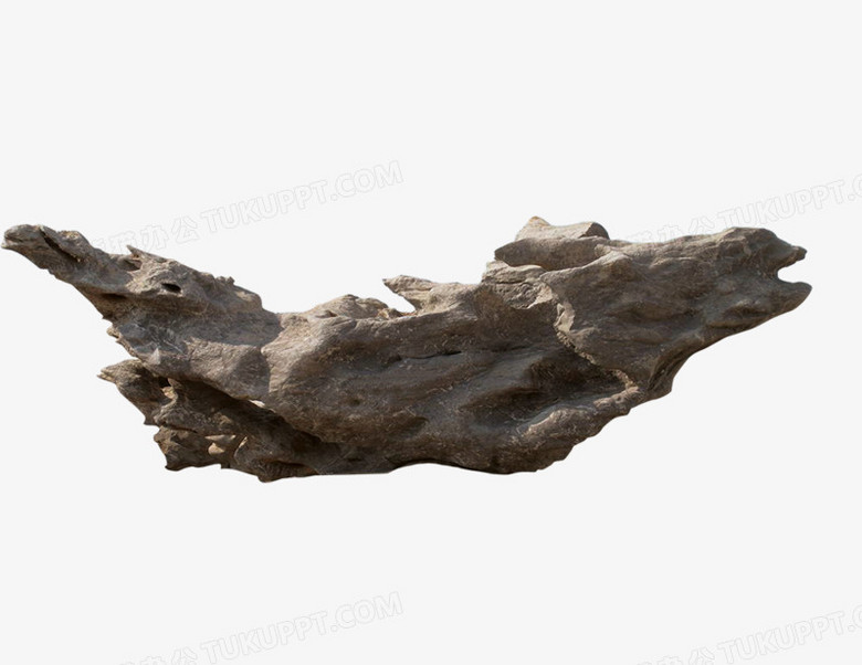 枯木png图片素材下载 枯木png 熊猫办公