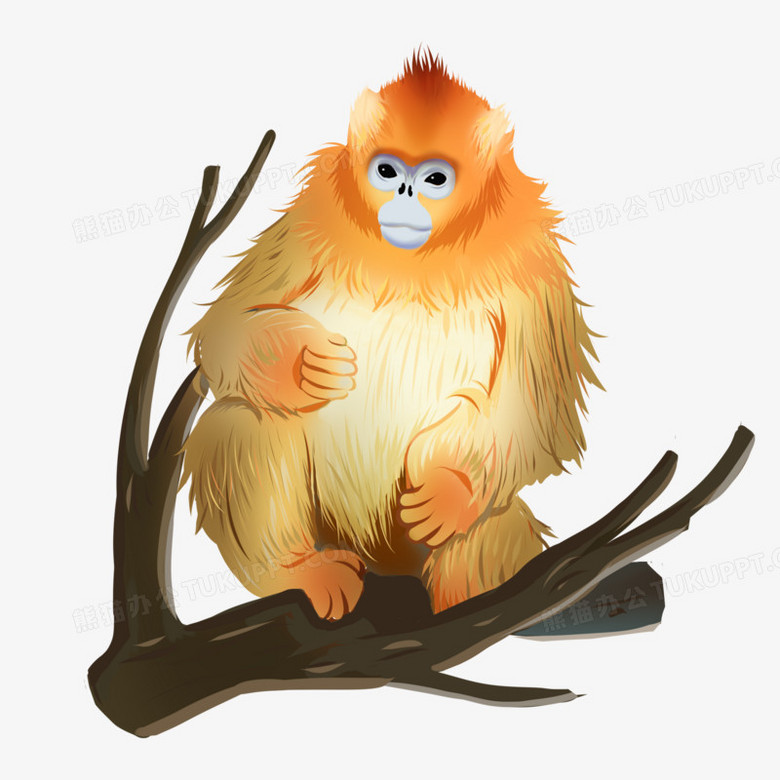 卡通手绘金丝猴免抠元素