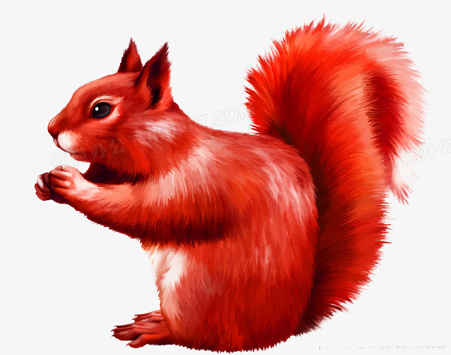 红色清新松鼠装饰图案