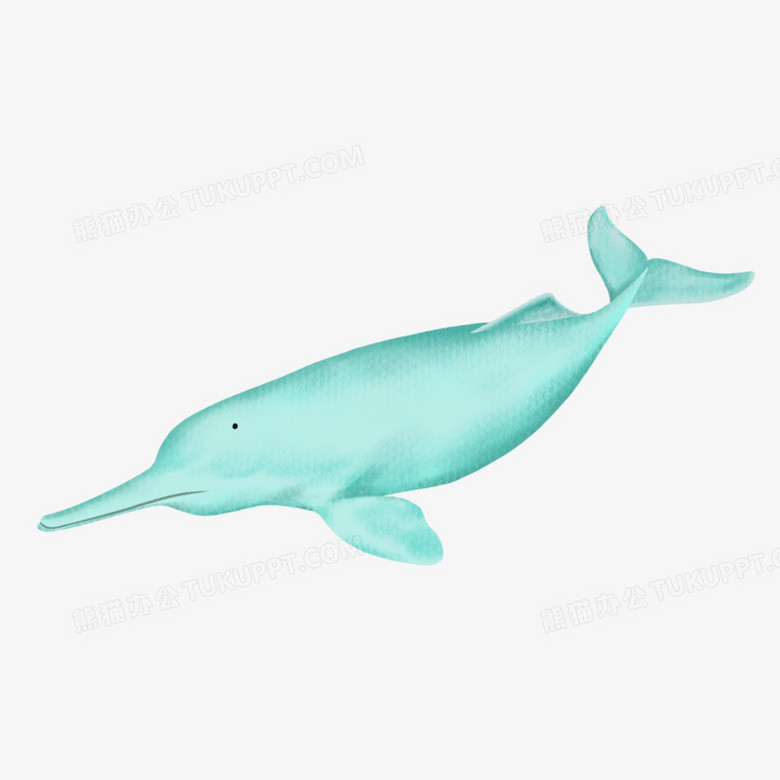 卡通手绘国家保护动物白曁豚元素