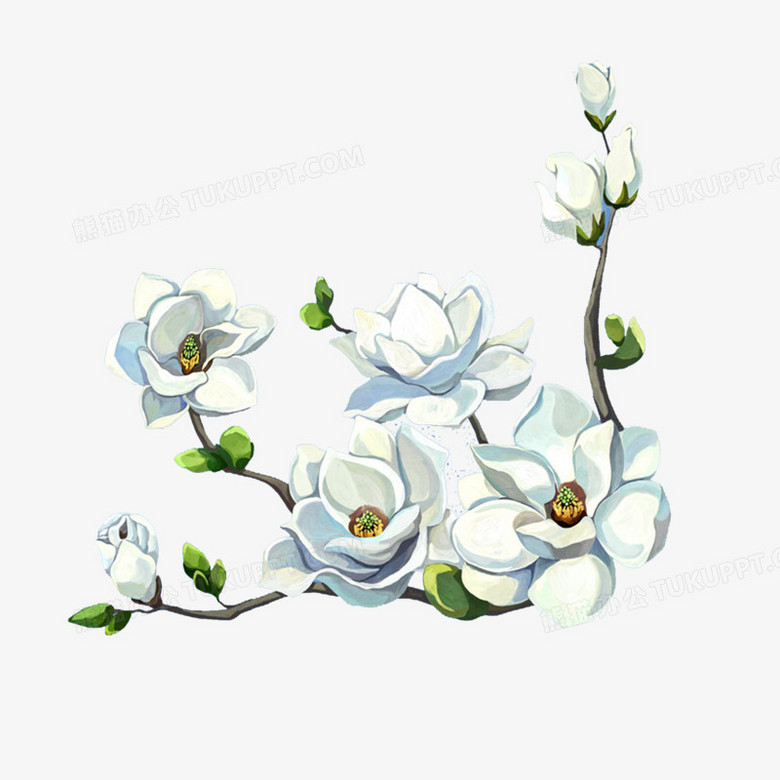 山茶花png图片素材下载 山茶花png 熊猫办公