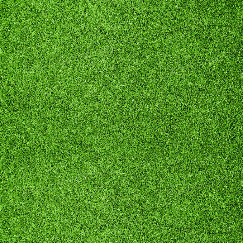 纯绿色全屏 草坪图片