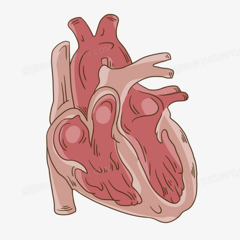 卡通手繪線條心臟器官元素