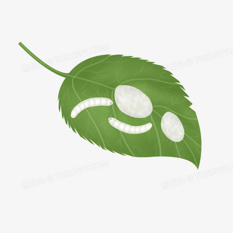 卡通手绘蚕蛹和蚕免抠素材