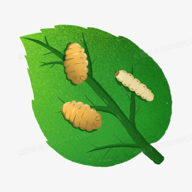 卡通手绘蚕和蚕蛹免抠元素