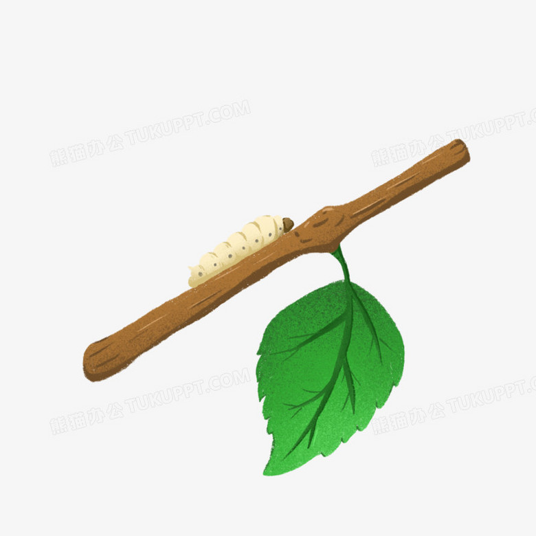 卡通手绘蚕和桑树免抠元素
