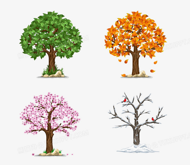 一棵树在四季的不同样子