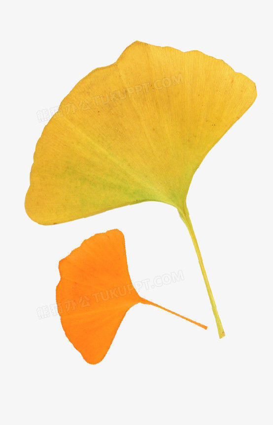 ҶҶ