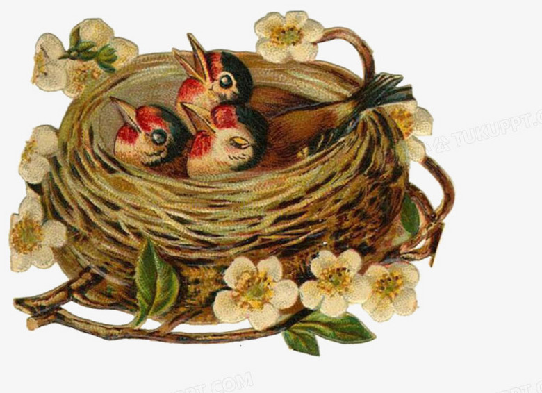 燕子窝png图片素材下载_卡通png_熊猫办公