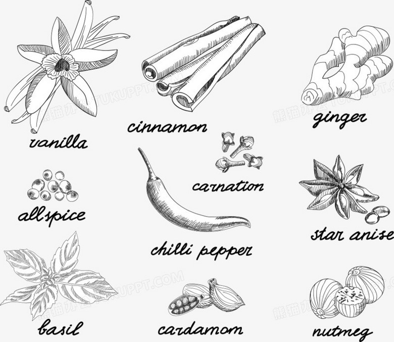 矢量黑白条纹调料