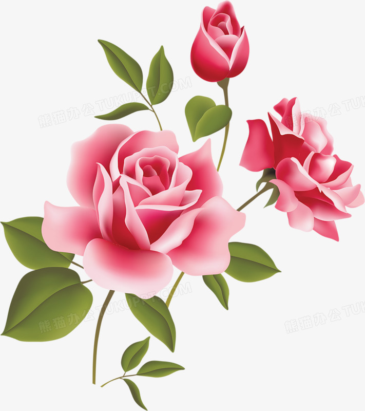 庆典花卉花卉图案唯美玫瑰花png图片素材免费下载 素材png 711 800像素 熊猫办公