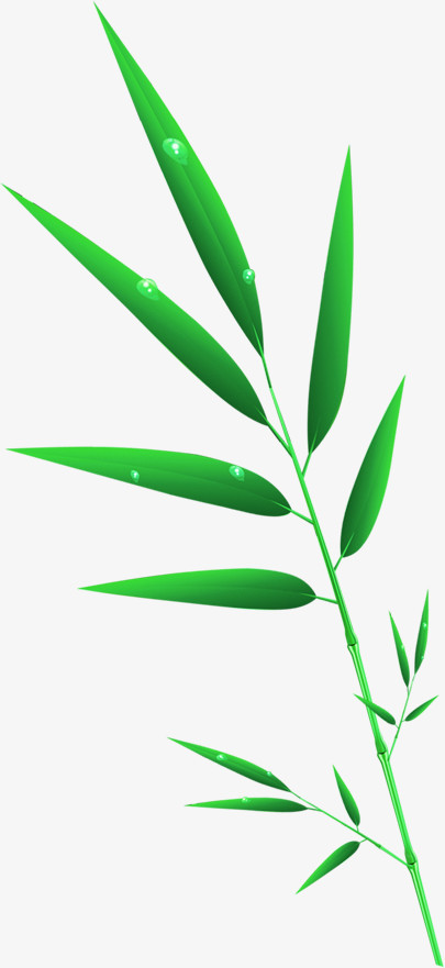 ɫͨҶ