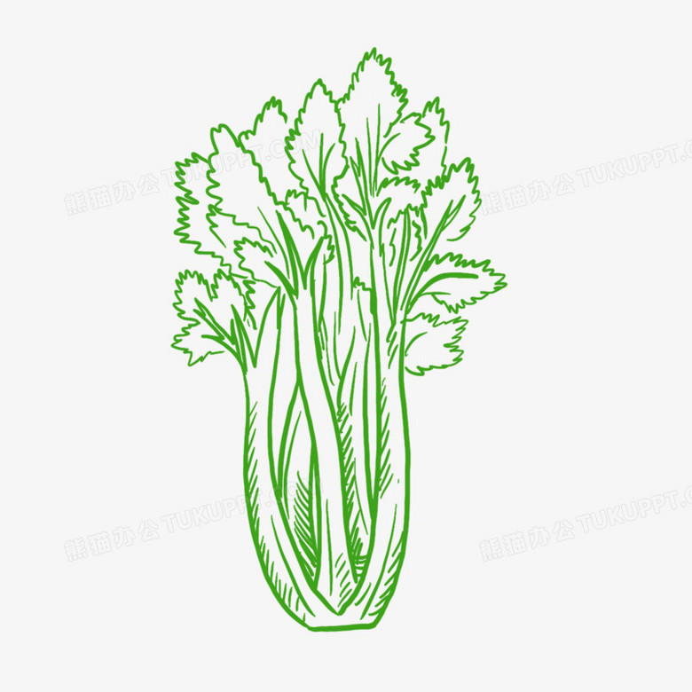 手绘线描蔬菜芹菜简笔画装饰素材