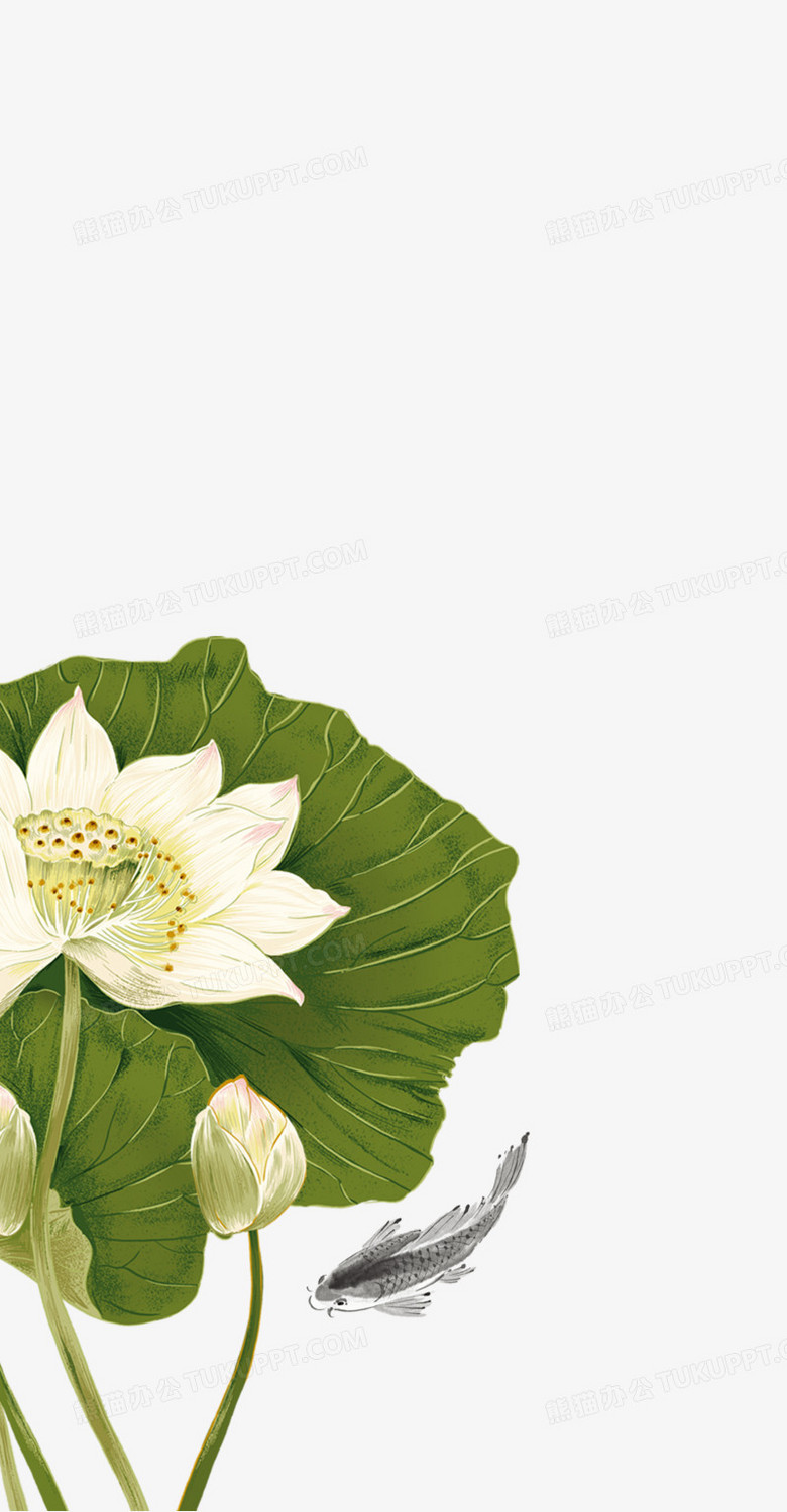 白莲花png图片素材下载 白莲花png 熊猫办公
