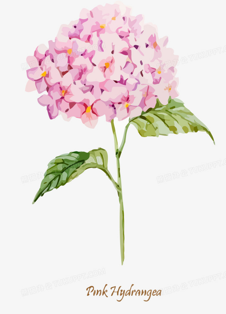 水彩绣球花矢量png图片素材免费下载 水彩png 1121 1558像素 熊猫办公 水彩绣球花矢量png图片素材免费下载 水彩png 1121 1558像素 熊猫办公