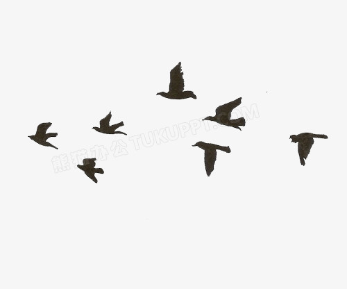 本作品全称为《黑色卡通手绘一群飞鸟创意元素》,在整个配色上使用