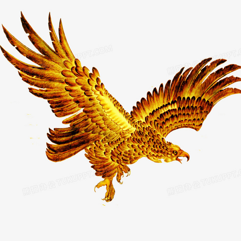 鹰png图片素材下载_老鹰png_熊猫办公