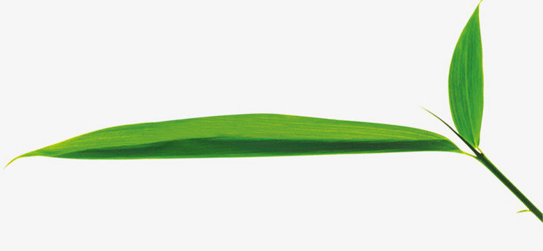 Ҷ