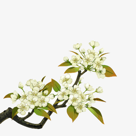 梨花插画古风png图片素材下载_插画png_熊猫办公