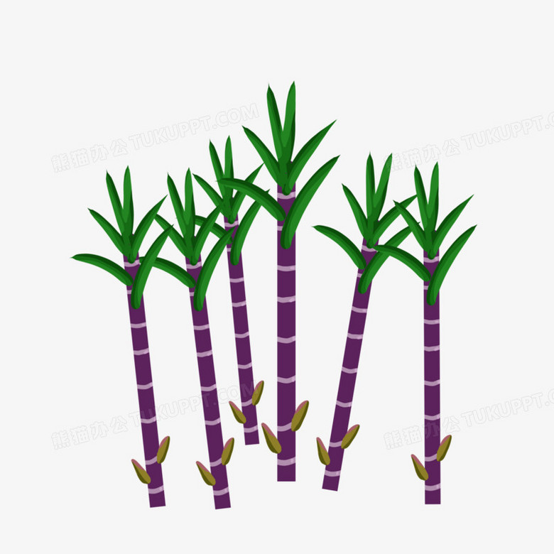 手绘简约甘蔗免抠元素