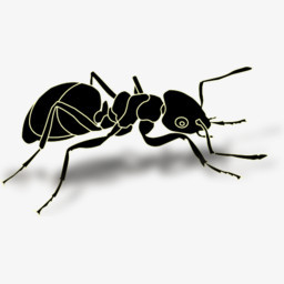 动物蚂蚁open Icon Library Others Iconspng图片素材免费下载 动物png 256 256像素 熊猫办公