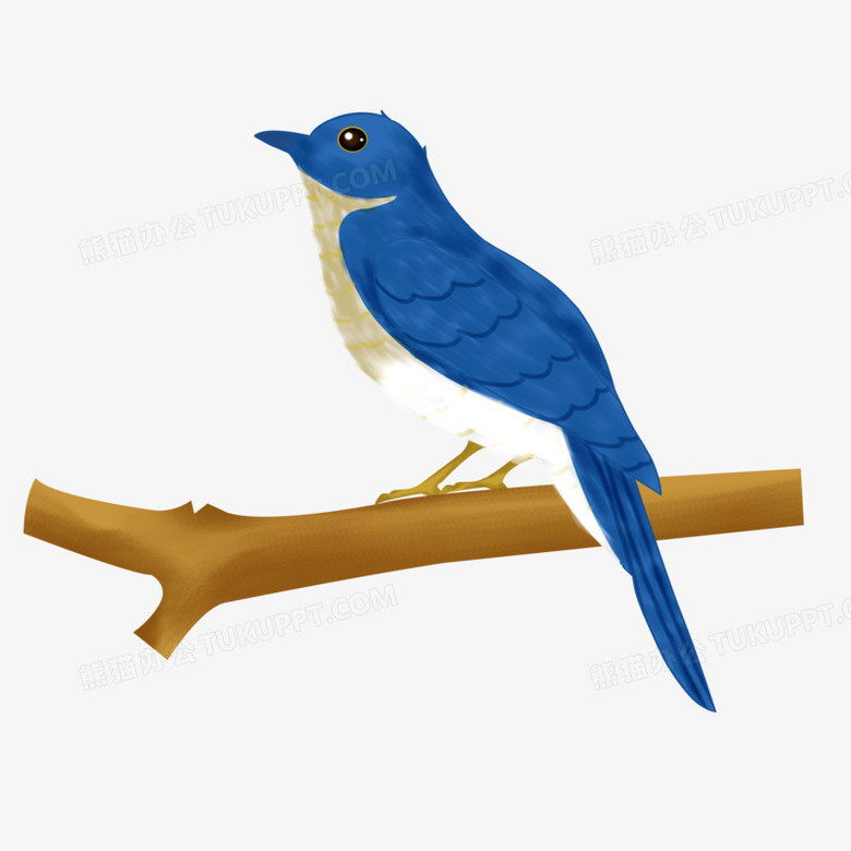 手绘布谷鸟免抠素材