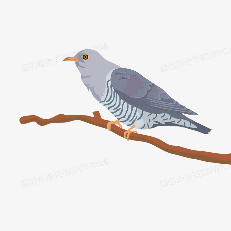 手绘布谷鸟元素