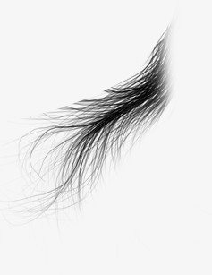 创意合成黑色的头发发丝png图片素材下载_创意png_熊猫办公