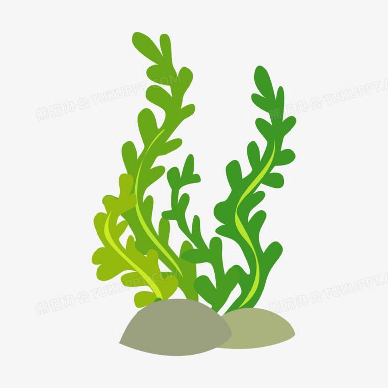 卡通手绘海洋海草海藻免抠素材