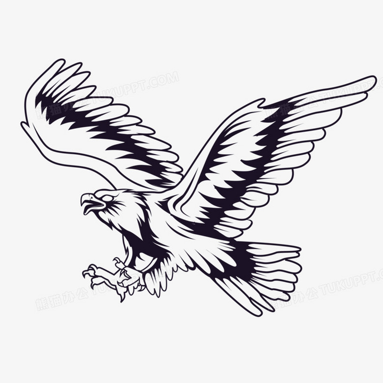 手绘老鹰线稿装饰元素