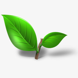 茶植物叶tea Iconspng图片素材免费下载 植物png 256 256像素 熊猫办公