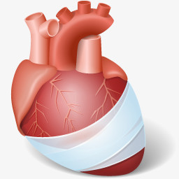 心脏png图片素材免费下载 心脏png 256 256像素 熊猫办公