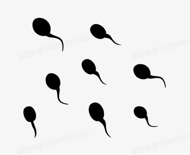 手绘简约小蝌蚪免抠png图片素材下载_简约png_熊猫办公