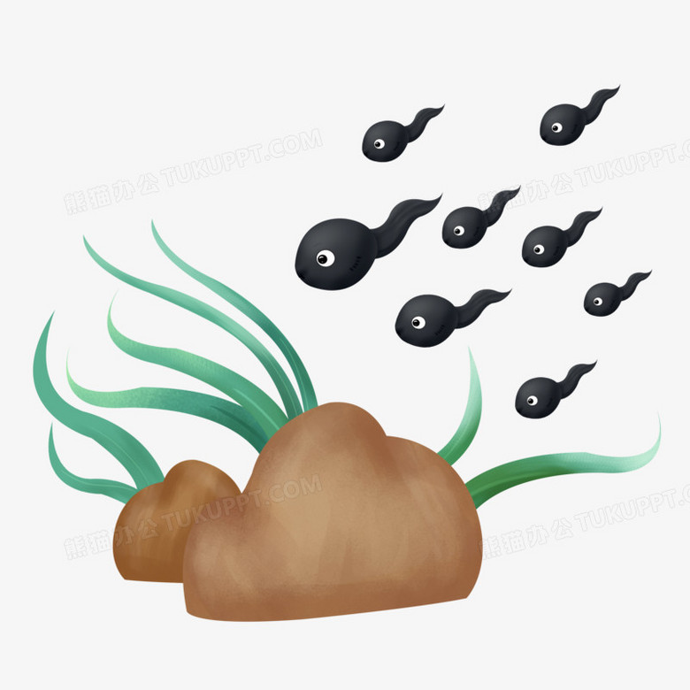 手绘一群小蝌蚪免抠素材