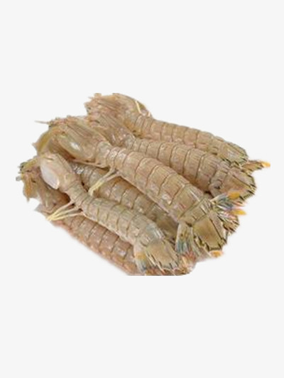 皮皮虾png图片素材下载_皮皮png_熊猫办公