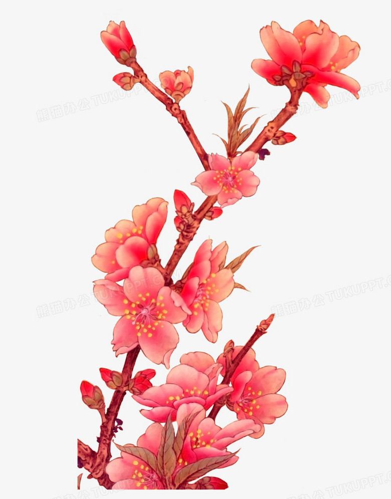 石榴花png图片素材下载 石榴花png 熊猫办公 石榴花png图片素材下载 石榴花png 熊猫办公