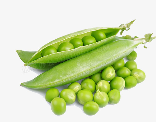 豌豆荚png图片素材下载 豌豆png 熊猫办公