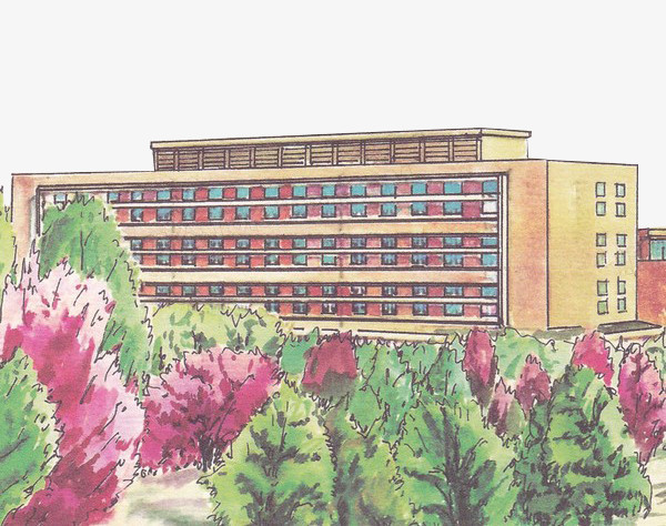 本作品全称为《黄色水彩风绿色校园里的大学教学楼元素》,在整个配色