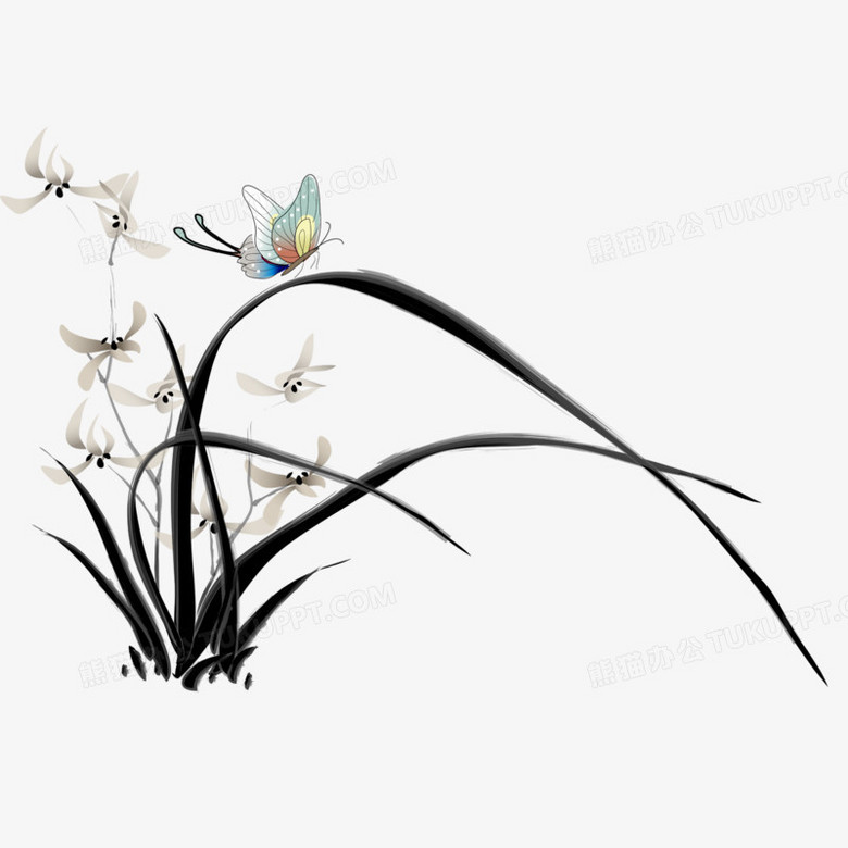 兰花草png图片素材免费下载 花草png 1417 1417像素 熊猫办公