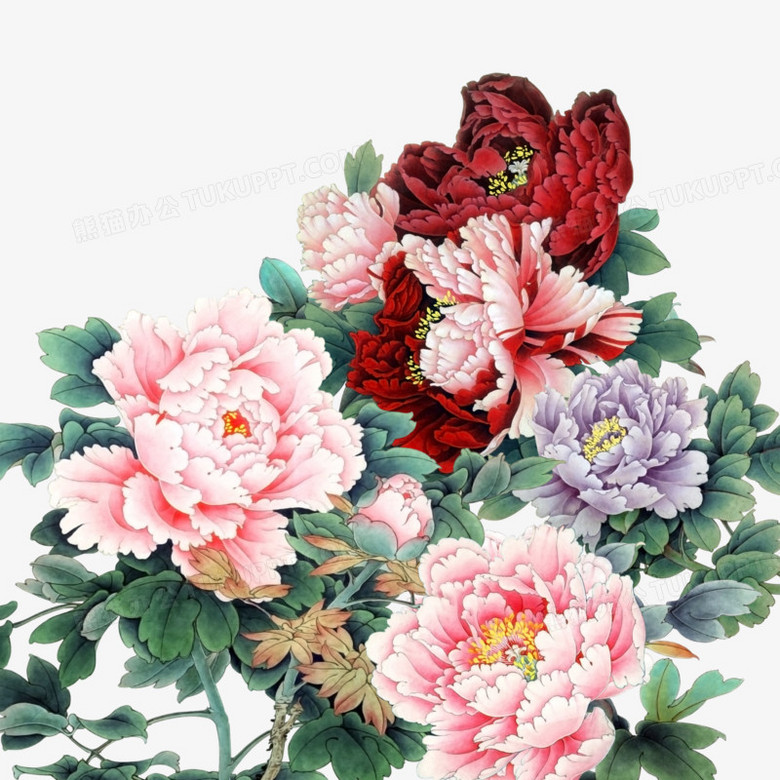 富贵花牡丹花png图片素材免费下载 富贵png 2953 2953像素 熊猫办公 富贵花牡丹花png图片素材免费下载 富贵png 2953 2953像素 熊猫办公