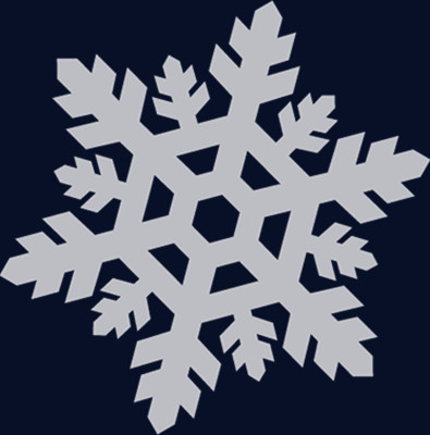 白色冬日圣诞雪花png图片素材下载_圣诞png_熊猫办公